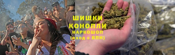 прущие грибы Дмитров