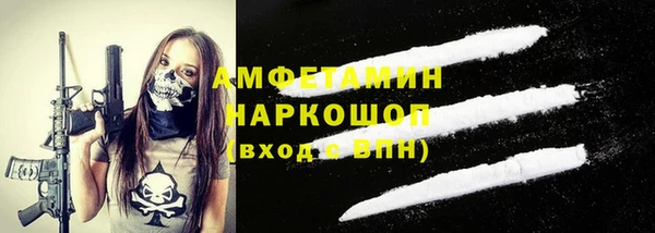 прущие грибы Дмитров