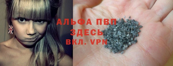 прущие грибы Дмитров
