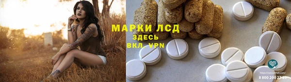 прущие грибы Дмитров
