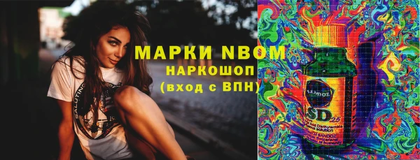 прущие грибы Дмитров