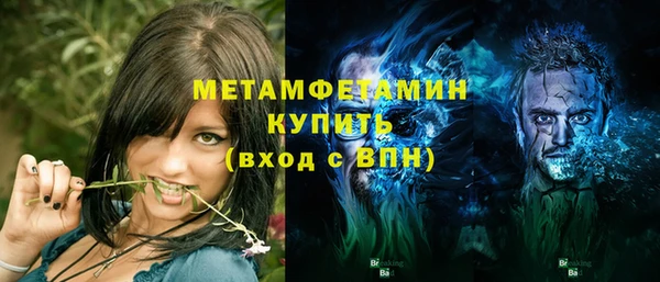 прущие грибы Дмитров