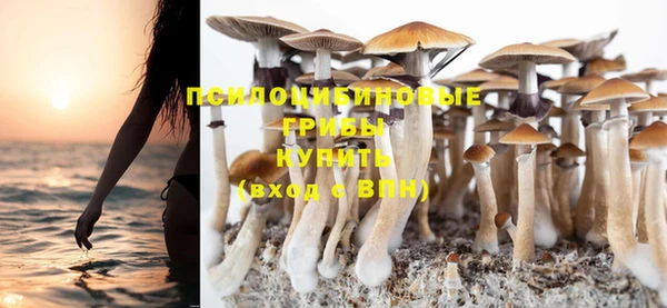 соль курить ск Дмитриев