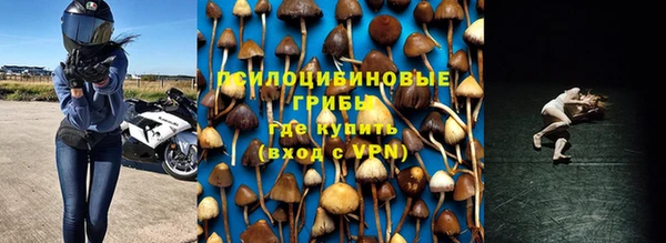 соль курить ск Дмитриев