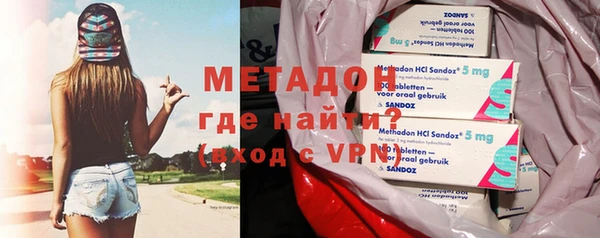 прущие грибы Дмитров