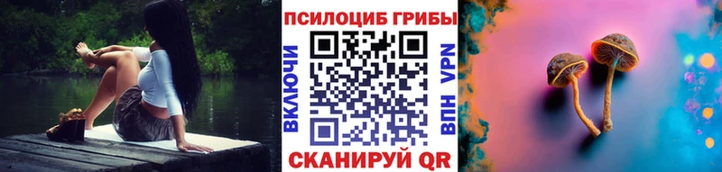 Псилоцибиновые грибы GOLDEN TEACHER  ОМГ ОМГ рабочий сайт  даркнет как зайти  Липецк 